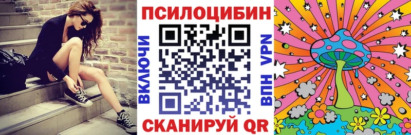 Псилоцибиновые грибы Cubensis где продают наркотики Мантурово